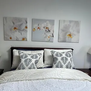 https://armand-heights.vancouver-hotels-bc.net